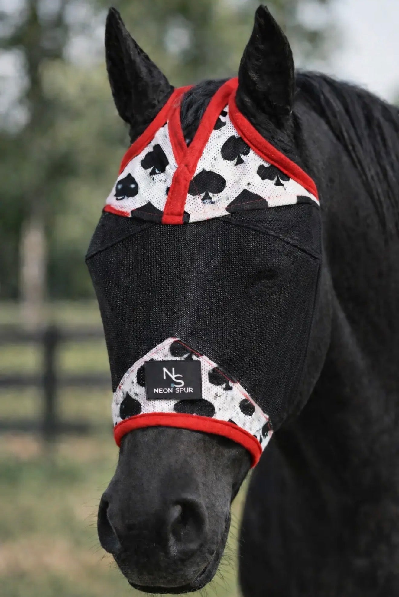 Equine Care and Barn Supplies