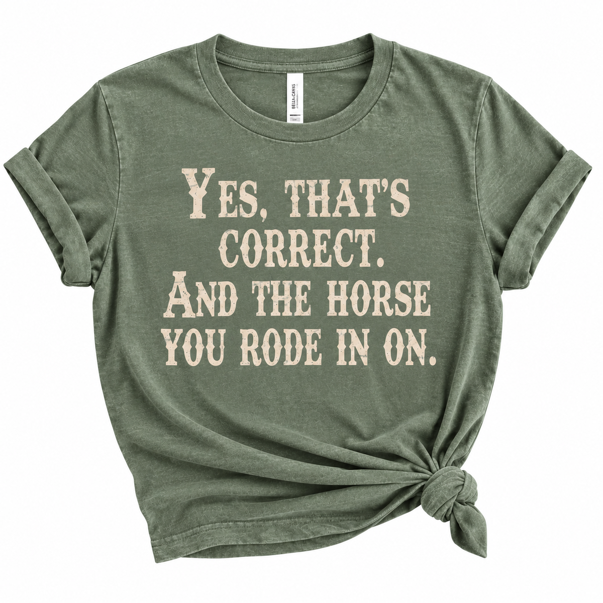 The Horse You Rode in On