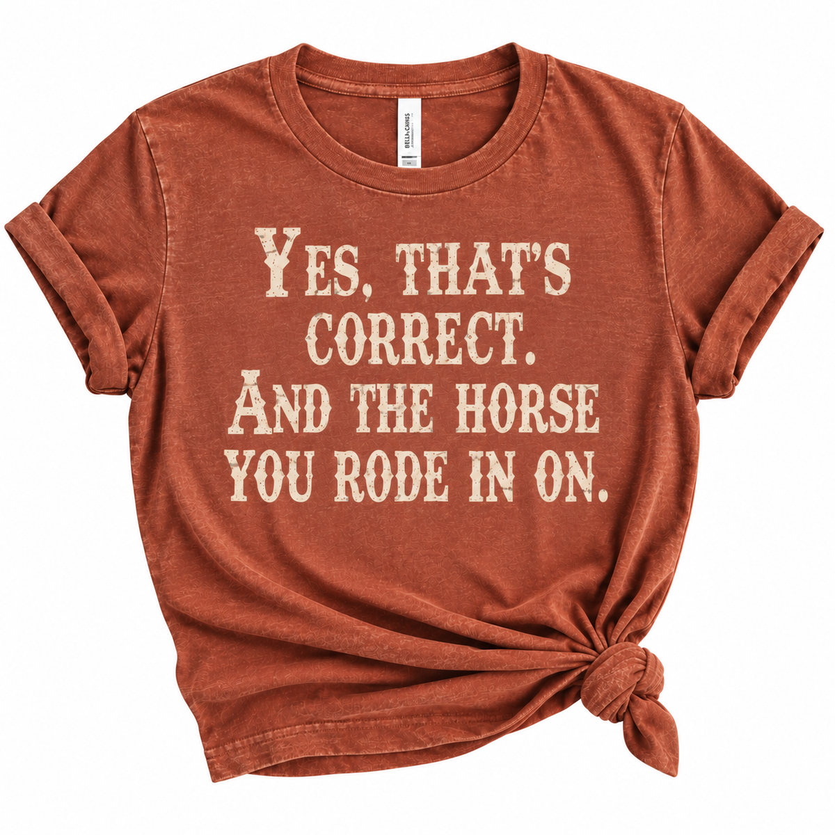 The Horse You Rode in On